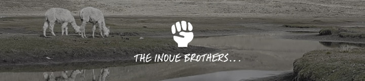 THE INOUE BROTHERS...(ザ・イノウエブラザーズ)