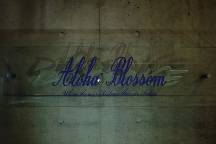 エンドレスサマー