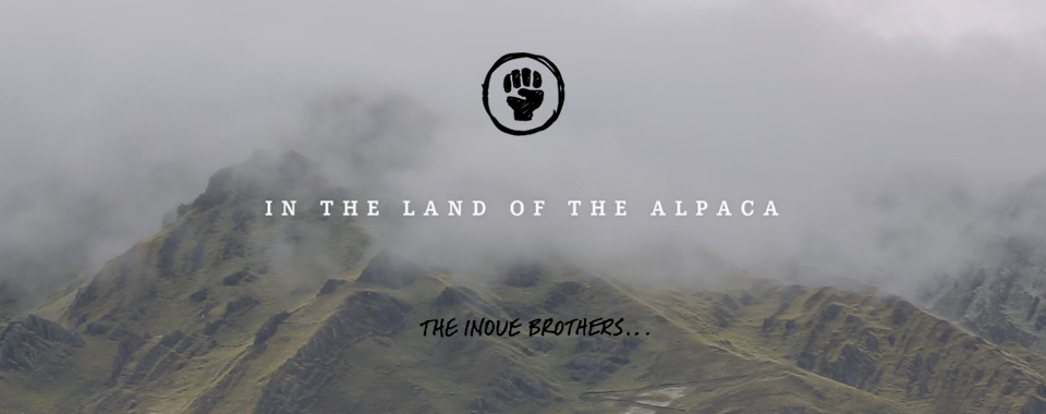 A FILM BY THE INOUE BROTHERS『IN THE LAND OF THE ALPACA』