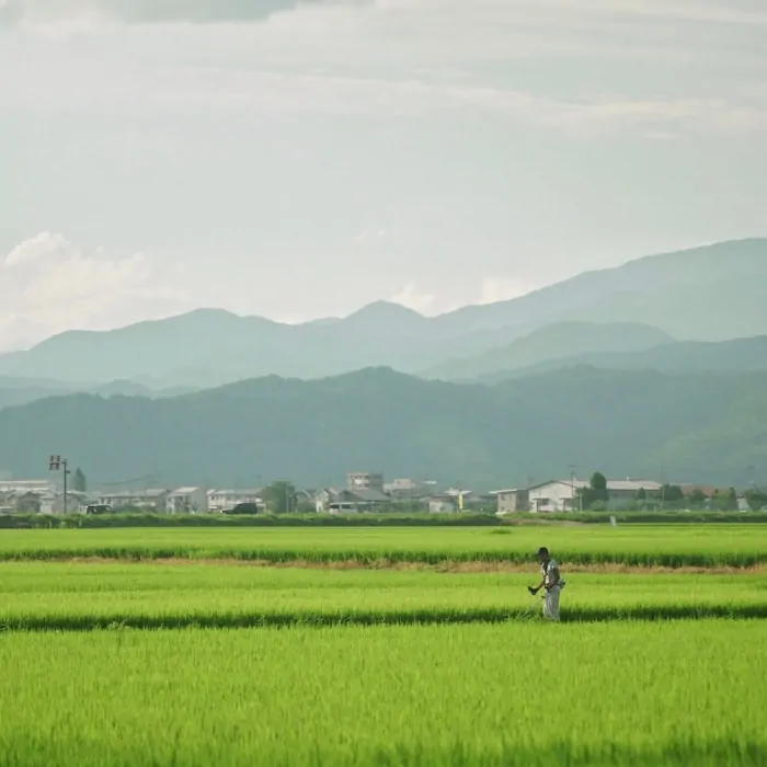 BATONER DESIGNER INTERVEW Vol.2