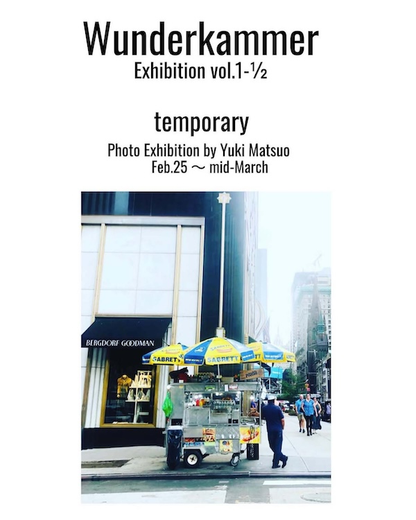 Wundwekammer Vol.1-1/2【temporary】