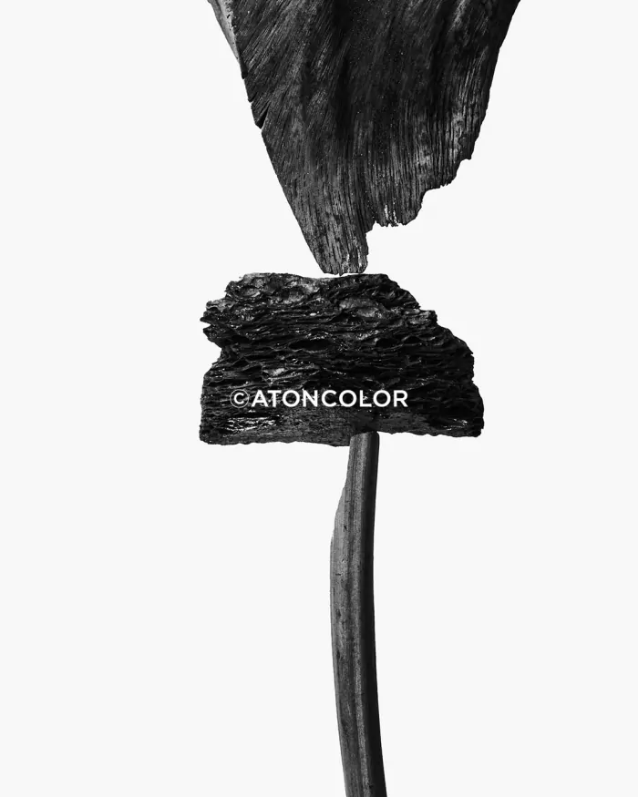 ©ATONCOLOR 『SUMI』 EXHIBITION 