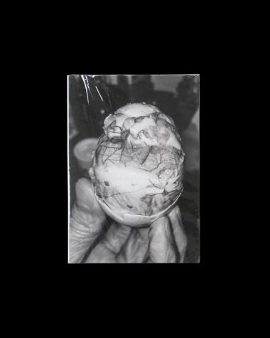 OTHER / 16 / CHRYSALIS / Ray Potes