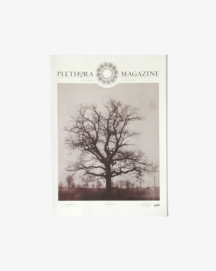 OTHER / Plethora Magazine No.12