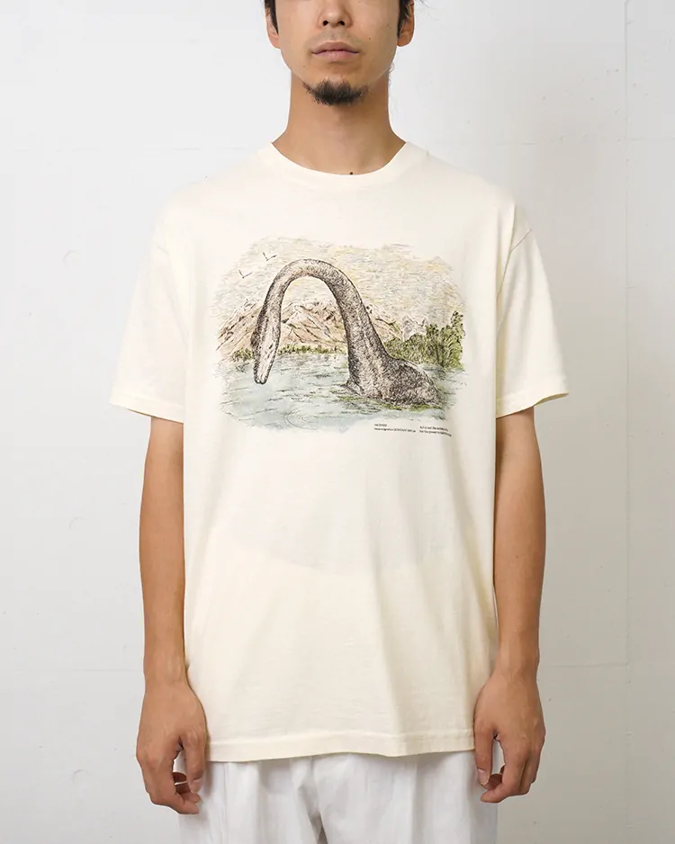 NICENESS / D.BERNARD / NESSIE
