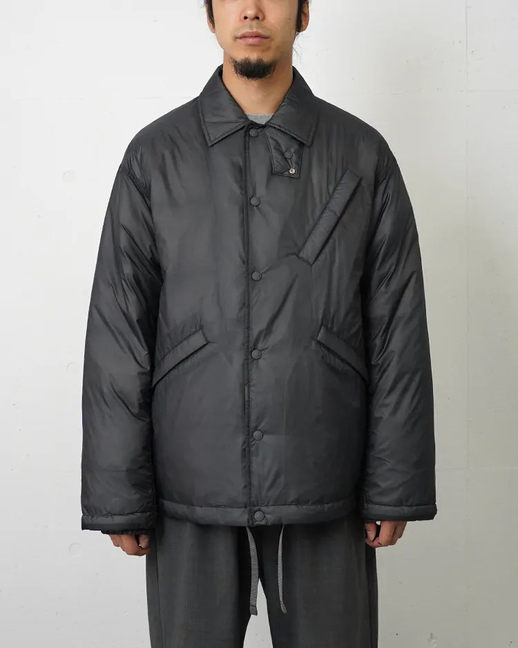 THE NORTH FACE PURPLE LABEL / Field Down Coach Jacket / AH(Asphalt Gray)